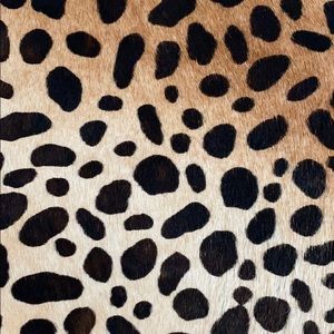 🐆CLARE VIVIER LEOPARD CLUTCH